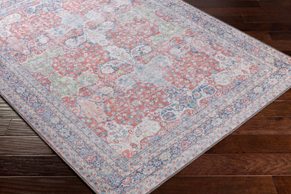 Alanya ALY-2301 5' x 7' Machine Woven Washable Area Rug