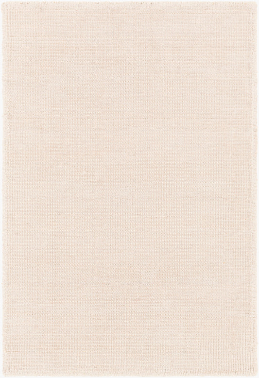 Amalfi AMF-2301 2' x 3' Handmade Accent Rug