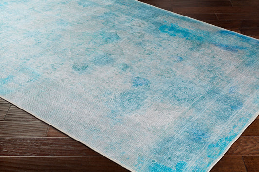 Amelie AML-2305 2' x 3' Machine Woven Washable Accent Rug