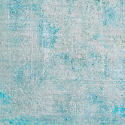 Amelie AML-2305 2' x 3' Machine Woven Washable Accent Rug