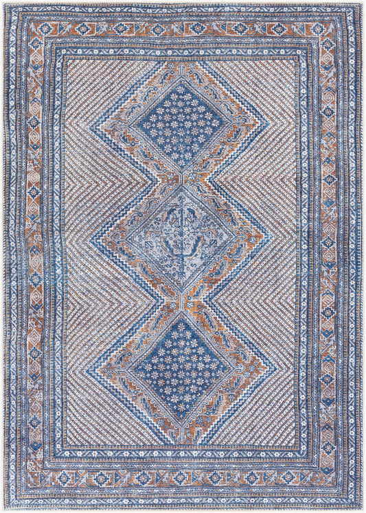 Amelie AML-2323 2' x 3' Machine Woven Washable Accent Rug