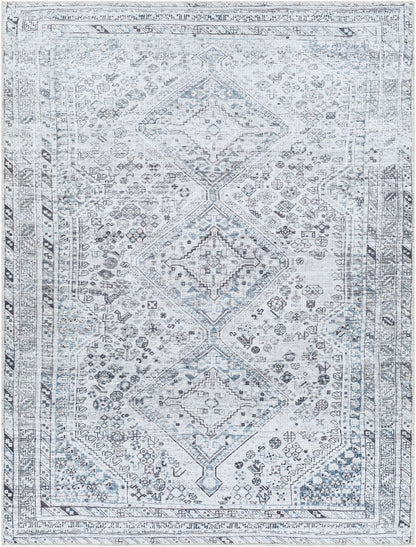Amelie AML-2380 2' x 3' Machine Woven Washable Accent Rug