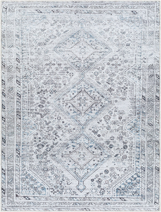 Amelie AML-2380 2' x 3' Machine Woven Washable Accent Rug