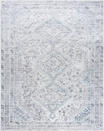 Amelie AML-2380 8' x 10' Machine Woven Washable Area Rug