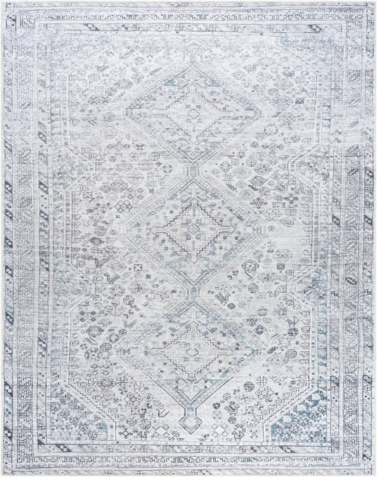 Amelie AML-2380 8' x 10' Machine Woven Washable Area Rug