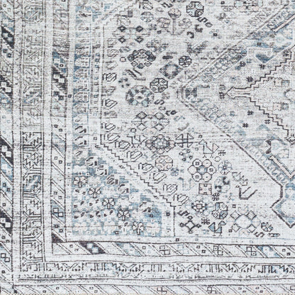 Amelie AML-2380 2' x 3' Machine Woven Washable Accent Rug