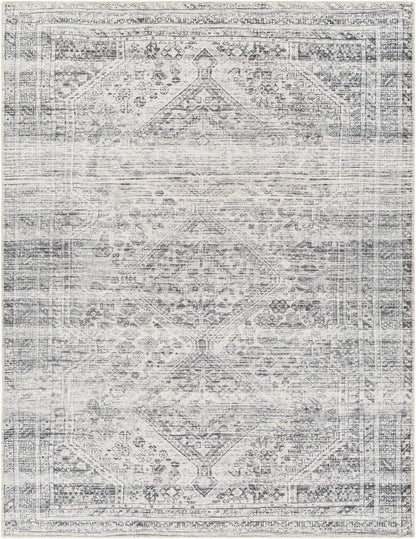 Amelie AML-2381 2' x 3' Machine Woven Washable Accent Rug
