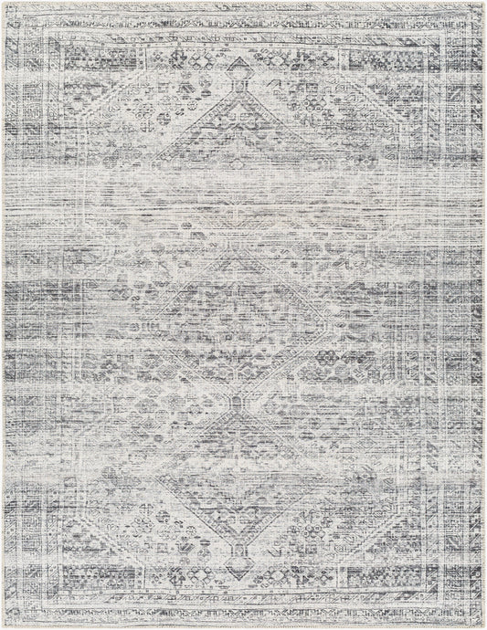 Amelie AML-2381 2' x 3' Machine Woven Washable Accent Rug