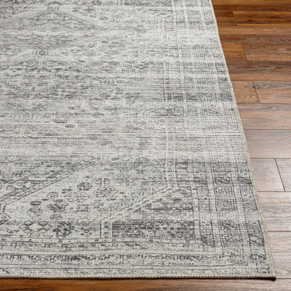 Amelie AML-2381 2' x 3' Machine Woven Washable Accent Rug