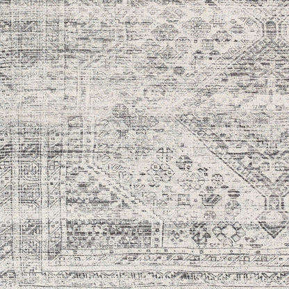 Amelie AML-2381 2' x 3' Machine Woven Washable Accent Rug