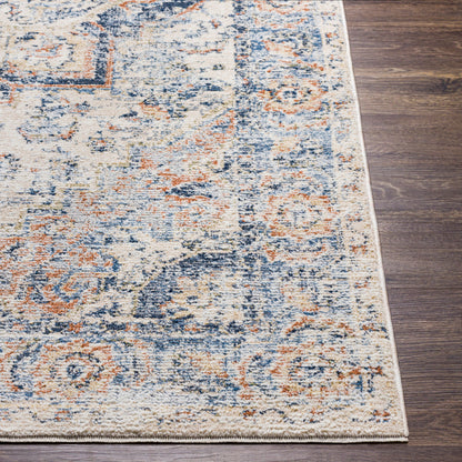 Amore AMO-2301 2'4" x 3'9" Machine Woven Accent Rug