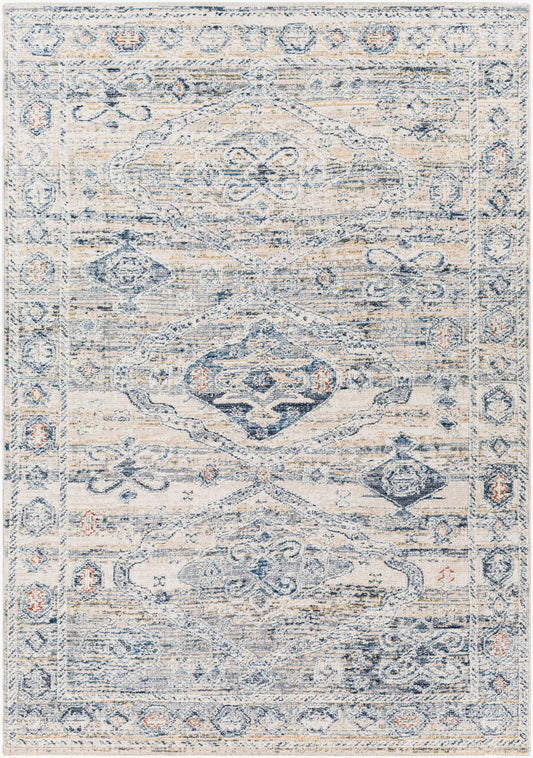 Amore AMO-2309 2'4" x 3'9" Machine Woven Accent Rug