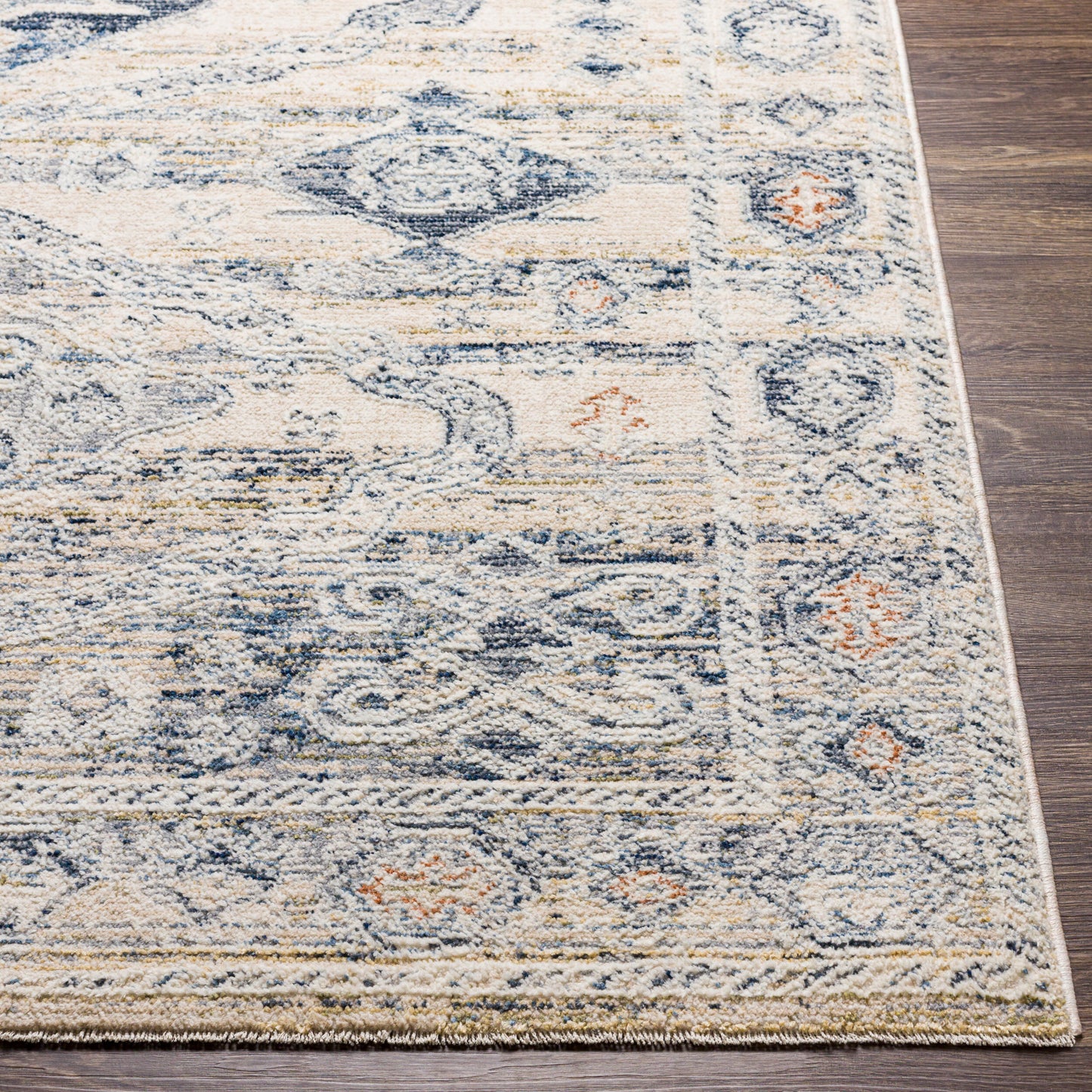 Amore AMO-2309 2'4" x 3'9" Machine Woven Accent Rug