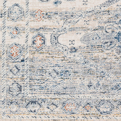 Amore AMO-2309 2'4" x 3'9" Machine Woven Accent Rug