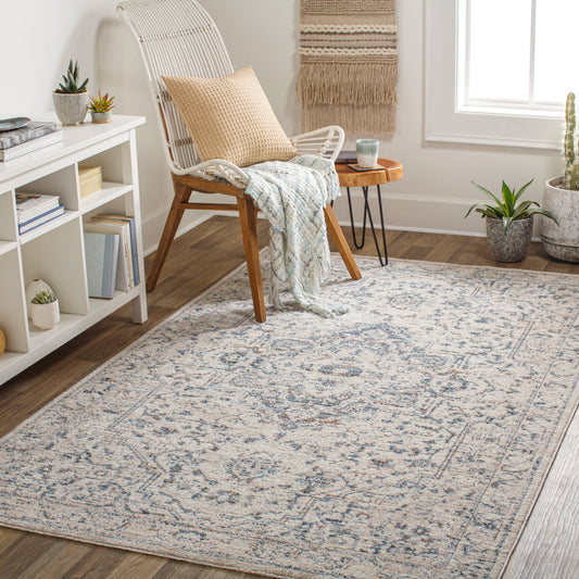 Amore AMO-2325 2' x 3' Machine Woven Accent Rug