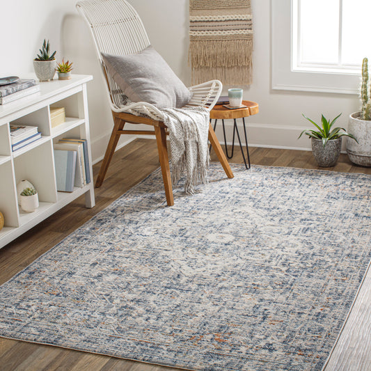 Amore AMO-2326 2' x 3' Machine Woven Accent Rug