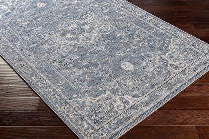 Amore AMO-2327 2'4" x 3'9" Machine Woven Accent Rug