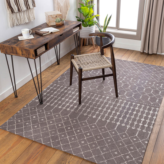Amsterdam AMS-1026 2' x 3' Handmade Accent Rug