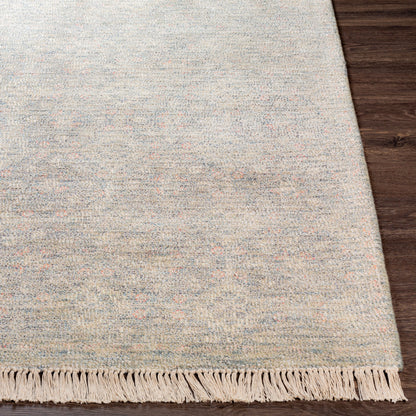 Amasya AMY-2301 Alfombra de área hecha a mano de 5' x 7'