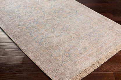 Amasya AMY-2303 2' x 3' Handmade Accent Rug