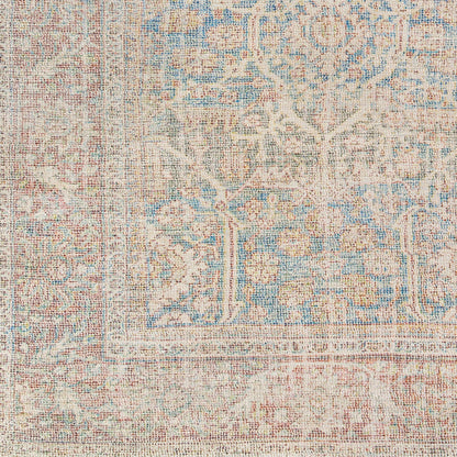 Amasya AMY-2303 5' x 7' Handmade Area Rug