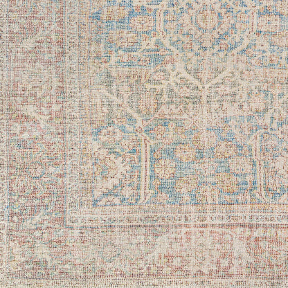 Amasya AMY-2303 2' x 3' Handmade Accent Rug