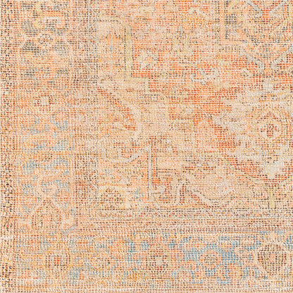 Amasya AMY-2305 2' x 3' Handmade Accent Rug