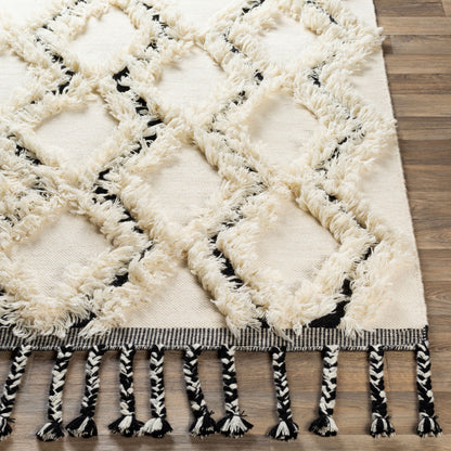 Apache APA-2300 2' x 3' Handmade Wool Accent Rug