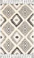 2' x 3'