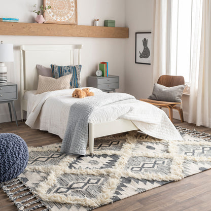 Apache APA-2305 2' x 3' Handmade Wool Accent Rug