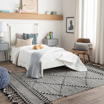Apache APA-2306 2' x 3' Handmade Wool Accent Rug