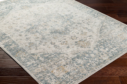 Alpharetta APH-2300 5' x 7' Machine Woven Area Rug