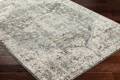 Alpharetta APH-2301 6' x 9' Machine Woven Area Rug
