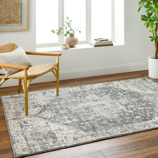 Alpharetta APH-2301 6' x 9' Machine Woven Area Rug