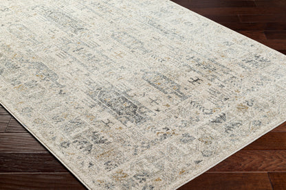 Alpharetta APH-2302 5' x 7' Machine Woven Area Rug