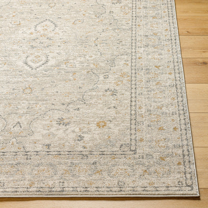 Alpharetta APH-2303 5' x 7' Machine Woven Area Rug
