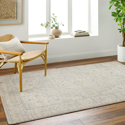 Alpharetta APH-2303 5' x 7' Machine Woven Area Rug