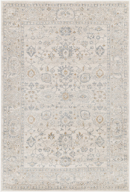 Alpharetta APH-2304 5' x 7' Machine Woven Area Rug