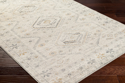 Alpharetta APH-2305 9' x 12' Machine Woven Area Rug