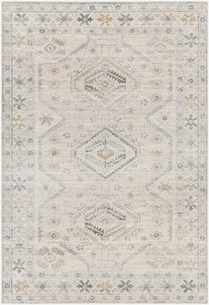 Alpharetta APH-2305 9' x 12' Machine Woven Area Rug
