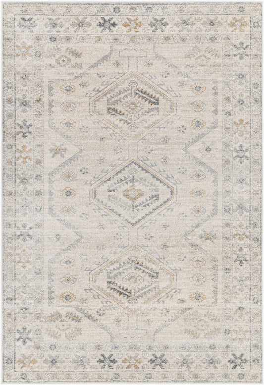 Alpharetta APH-2305 9' x 12' Machine Woven Area Rug