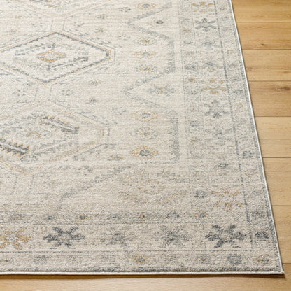 Alpharetta APH-2305 9' x 12' Machine Woven Area Rug