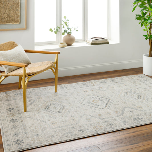 Alpharetta APH-2305 9' x 12' Machine Woven Area Rug