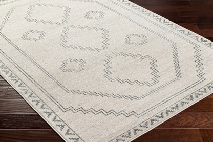 Alpharetta APH-2306 9' x 12' Machine Woven Area Rug