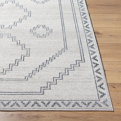 Alpharetta APH-2306 5' x 7' Machine Woven Area Rug