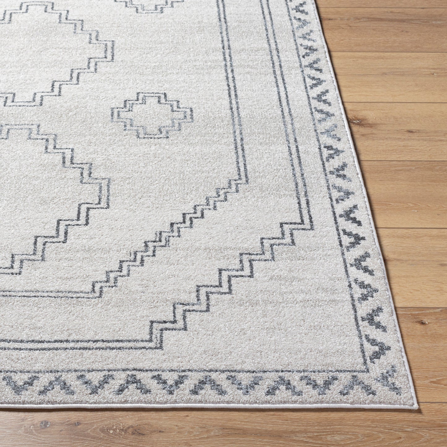 Alpharetta APH-2306 9' x 12' Machine Woven Area Rug