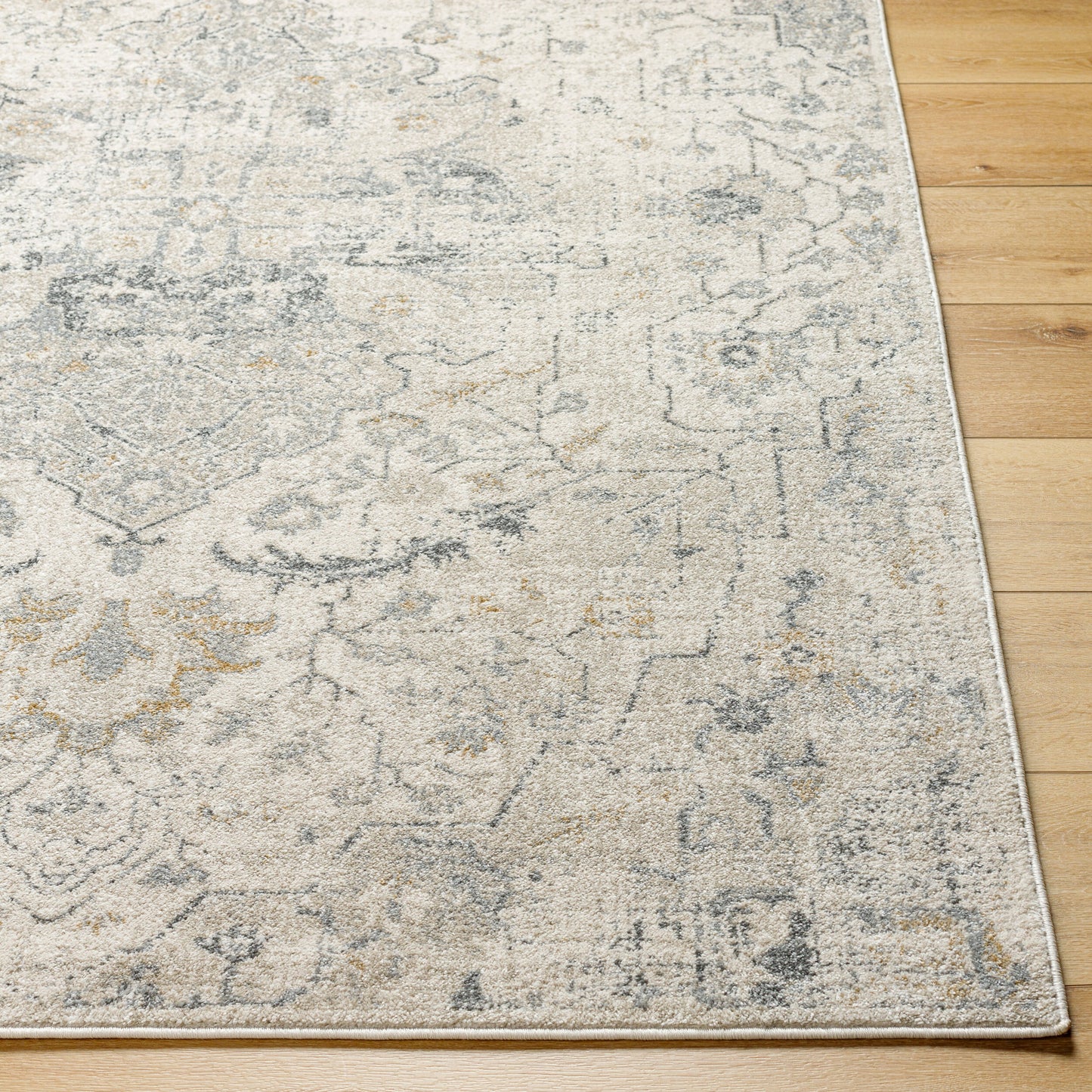 Alpharetta APH-2307 5' x 7' Machine Woven Area Rug
