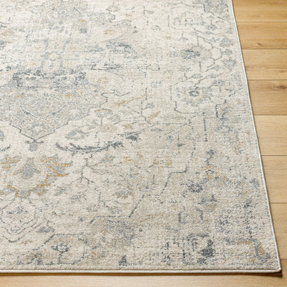 Alpharetta APH-2307 5' x 7' Machine Woven Area Rug