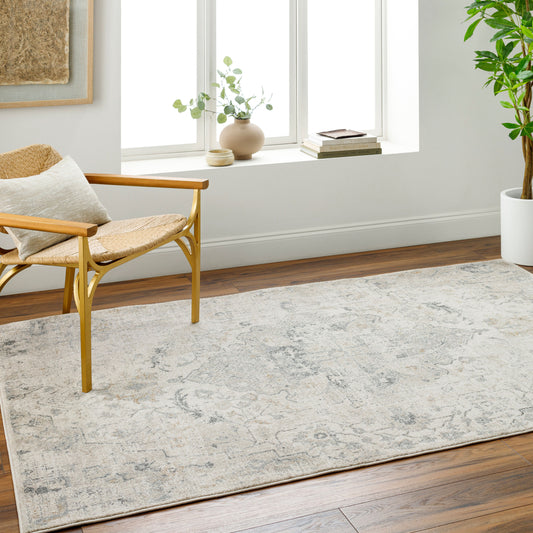 Alpharetta APH-2307 5' x 7' Machine Woven Area Rug