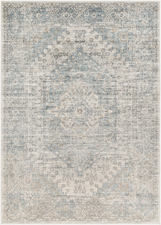 Alpharetta APH-2308 9' x 12' Machine Woven Area Rug